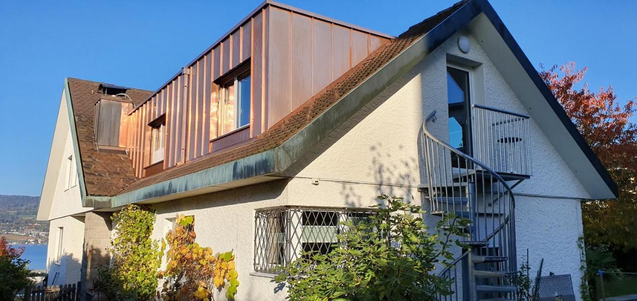 Nice Apartment In Horgen Near Lake And Pool Экстерьер фото